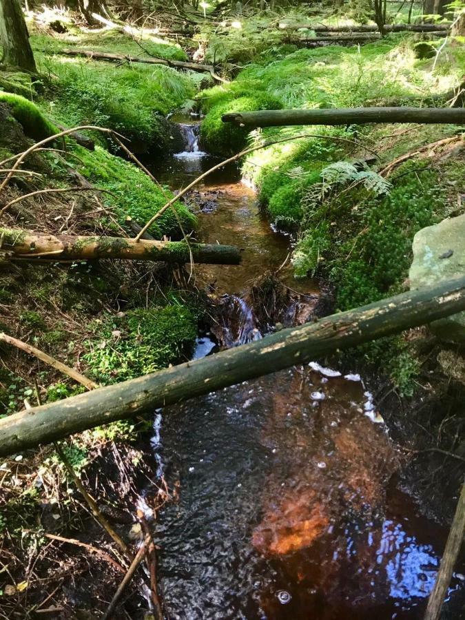 Ferienwohnung Gipfelnest Braunlage Esterno foto